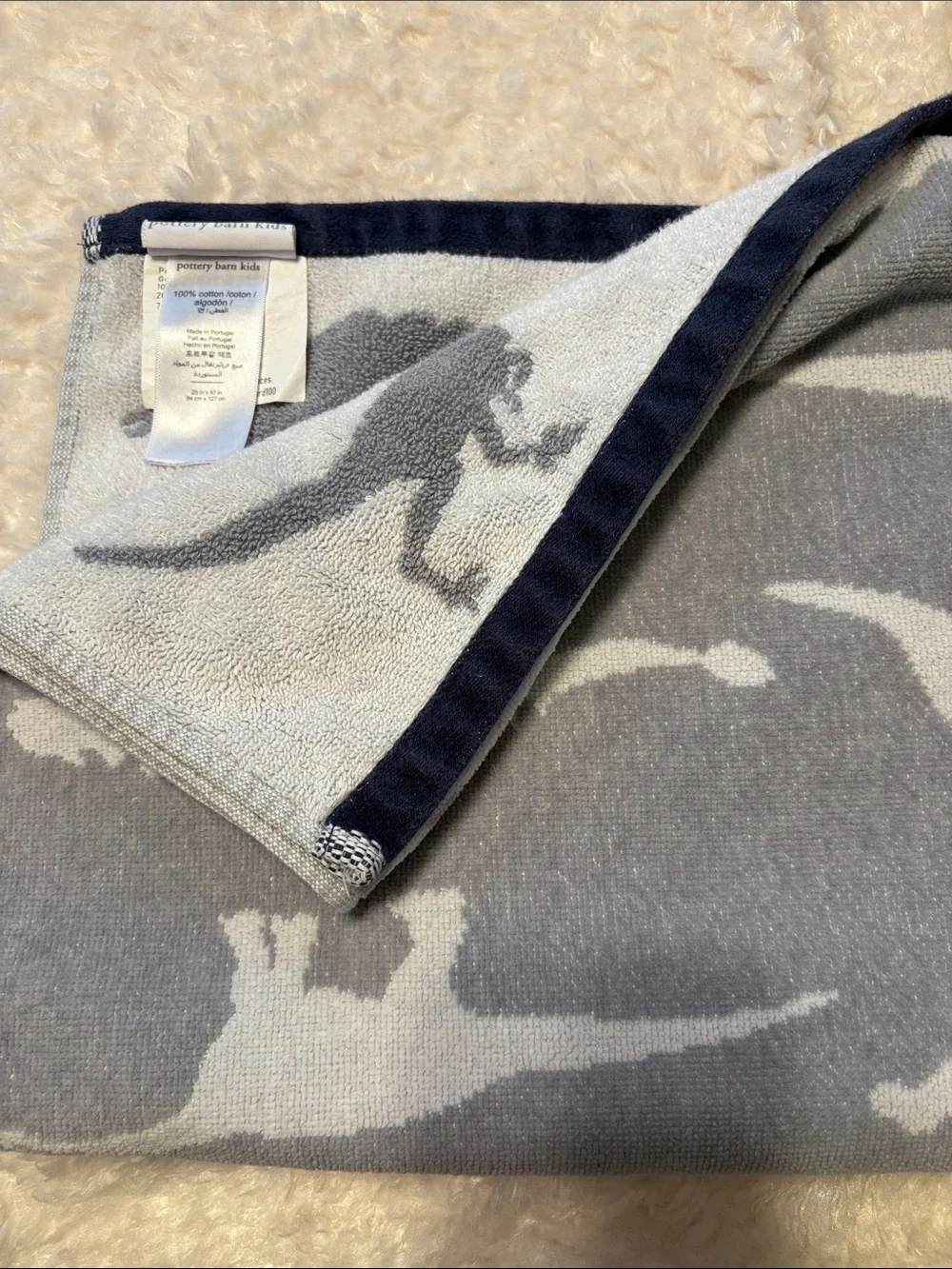 Pottery Barn Kids Finn Dino Bath Towel 25x50